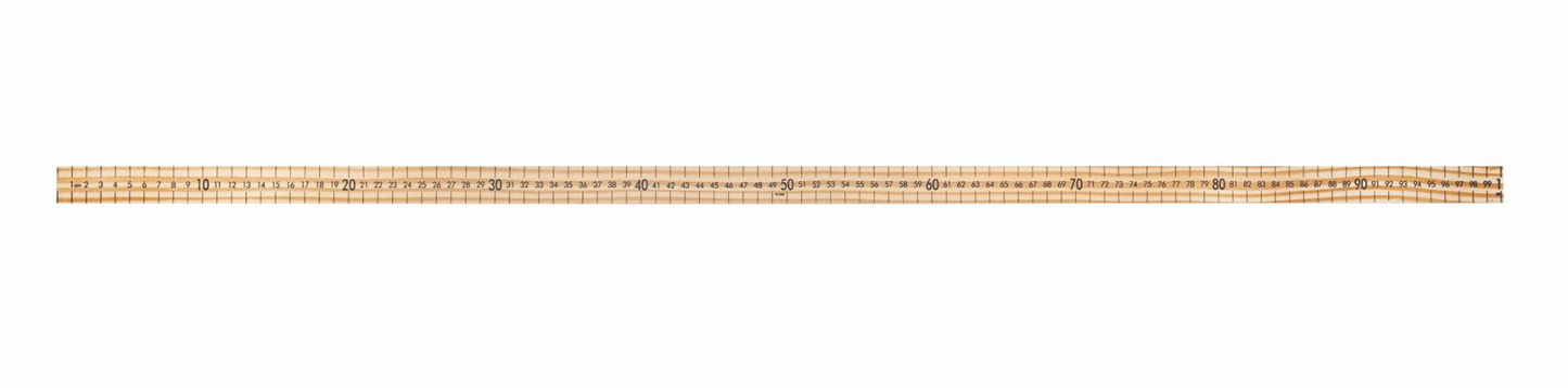 Metric Scales Only (cm one side, mm on the other) / M?trique seulement - cm d?un c?t?; mm de l?autre