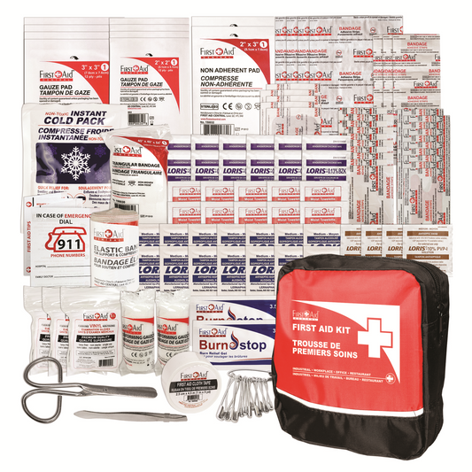 Basic First Aid Kit in Nylon Bag