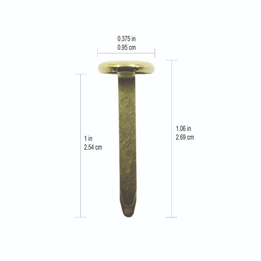 1? ? 100/Box ? Domed Head - Dia 10mm / 
1 po ? 100/bo?te ? t?te bomb?e - dia 10 mm