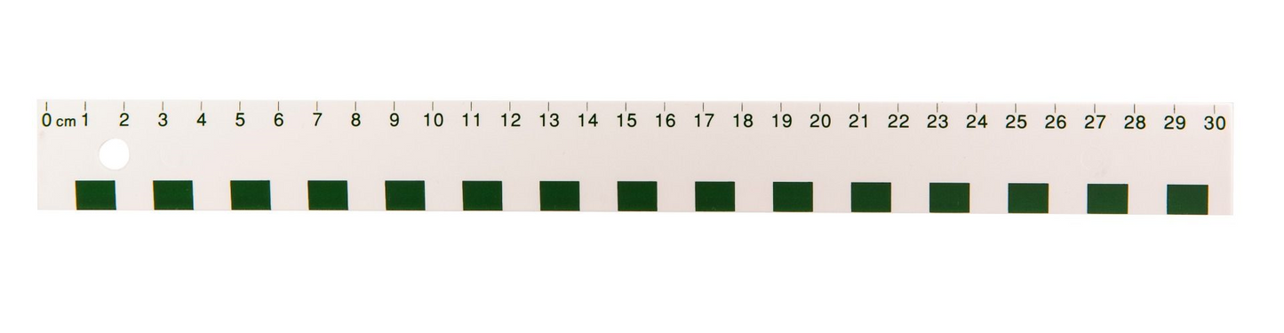 30cm White Plastic Ruler / 
R?gle blanche en plastique de 30 cm (cm)